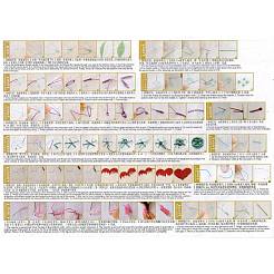 Embroidery Kit&nbsp;DIY-M026-03