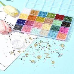 DIY Round Glass Seed Beads & Alloy Charms Bracelet Making Kits&nbsp;DIY-FS0007-19