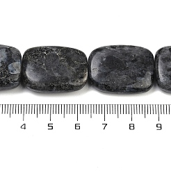 Natural Larvikite Beads Strands&nbsp;G-U018-H08-01