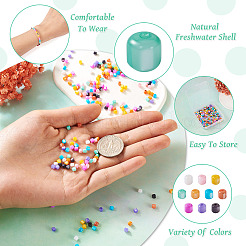 300Pcs 10 Colors Natural Freshwater Shell Beads&nbsp;SHEL-TA0001-06