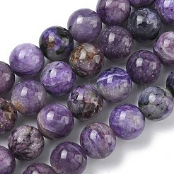 Natural Charoite Beads Strands&nbsp;G-C270-O02-10