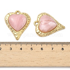 304 Stainless Steel & Resin Pendants&nbsp;STAS-G371-18G-01