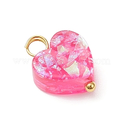 Transparent Resin Charms&nbsp;PALLOY-JF04450-02