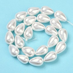 Electroplate Shell Pearl Beads Strands&nbsp;BSHE-O019-05