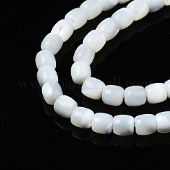 Natural Trochid Shell/Trochus Shell Beads Strands&nbsp;X-SSHEL-N034-121-B01
