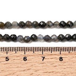 Natural Iolite Beads Strands&nbsp;G-G343-B01-4mm