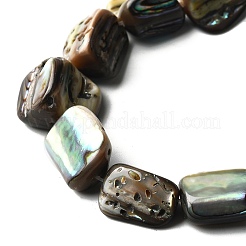 Natural Abalone Shell/Paua Shell Beads Strands&nbsp;BSHE-D300-01A