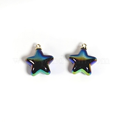 10Pcs UV Plated Iridescent Opaque Resin Pendants&nbsp;PW-WG9DE9F-11