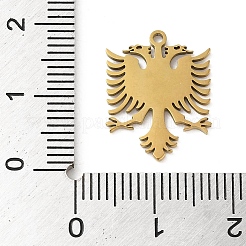 5Pcs 201 Stainless Steel Pendants&nbsp;STAS-B064-15G