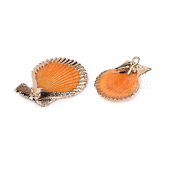 Electroplated Golden Brass Trim Natural Sea Shell Pendants&nbsp;SSHEL-N042-31