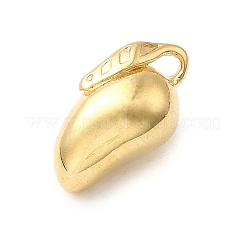 304 Stainless Steel Pendants&nbsp;STAS-B103-01F-G