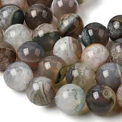 Natural Agate Beads Strands&nbsp;G-F820-K06-16mm-01C