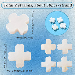 2 Strands Natural Freshwater Shell Beads Strands&nbsp;SSHEL-SC0001-38