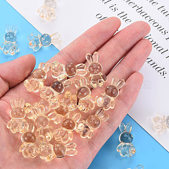 Transparent Acrylic Beads&nbsp;LS-MACR-S373-81-B04
