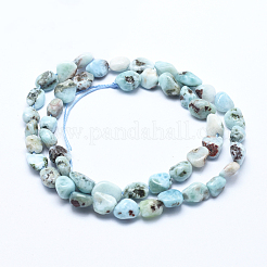 Natural Larimar Bead Strands&nbsp;X-G-E483-47