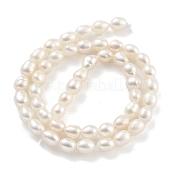 Natural Cultured Freshwater Pearl Beads Strands&nbsp;PEAR-P062-03C