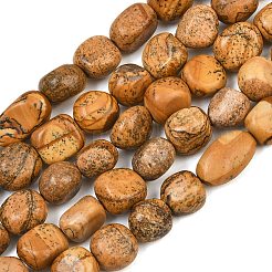 Natural Picture Jasper Beads Strands&nbsp;GG-CBA787B-A31
