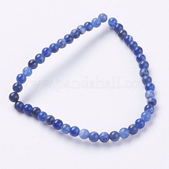 Natural Sodalite Beads Strands&nbsp;X-G-G515-4mm-07