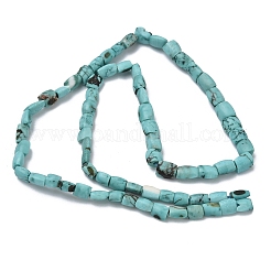 Dyed Natural Crackle Turquoise Beads Strands&nbsp;G-K365-G03-02