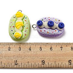 Imitation Food Opaque Resin Pendants&nbsp;X-RESI-A031-04