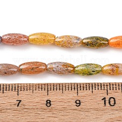 Handmade Lampwork Beads&nbsp;X-LAMP-B051-02B