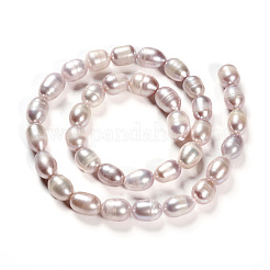 Natural Cultured Freshwater Pearl Beads Strands&nbsp;PEAR-R064-16