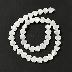 Natural Trochid Shell/Trochus Shell Beads Strands&nbsp;SHEL-F003-08A