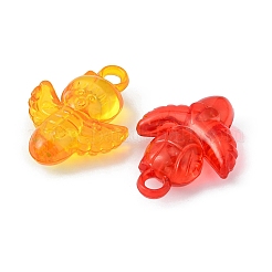 50g Transparent Acrylic Pendants&nbsp;TACR-YW0001-69