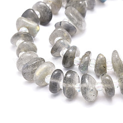 Natural Labradorite Beads Strands&nbsp;G-E569-J08
