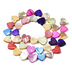 Natural Freshwater Shell Beads Strands&nbsp;SHEL-S278-03B-01
