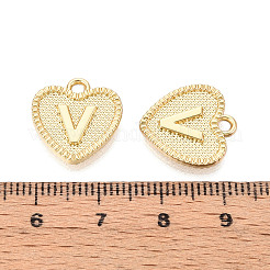 Alloy Pendants&nbsp;LS-PALLOY-N157-001V-NR