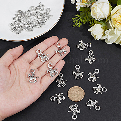 24Pcs Alloy European Dangle Charms&nbsp;PALLOY-PH01870