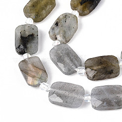 Natural Labradorite Beads Strands&nbsp;G-T139-75