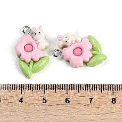 Resin Pendants&nbsp;RESI-I061-04C