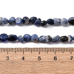 Natural Sodalite Beads Strands&nbsp;G-I389-A08