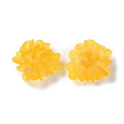 Transparent Resin Cabochons&nbsp;RESI-G027-01C