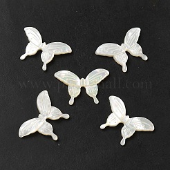 Natural White Shell Beads&nbsp;SHEL-M021-09B