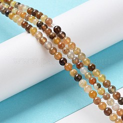 Natural Petrified Wood Round Bead Strands&nbsp;G-P070-69-3mm