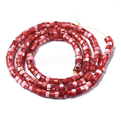 Natural Trochus Shell Beads Strands&nbsp;SHEL-S278-027D
