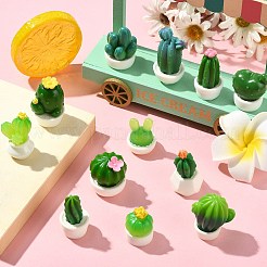 24Pcs 12 Styles Cactus Miniature Ornaments&nbsp;DJEW-CJ0001-25
