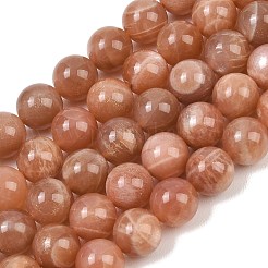 Natural Sunstone Beads Strands&nbsp;G-G323-A01-10mm