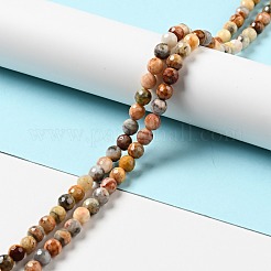Natural Crazy Lace Agate Beads Strands&nbsp;G-E571-36A