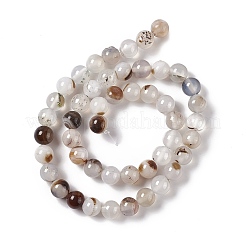 Natural Dendritic Agate Beads Strands&nbsp;X-G-C011-01B