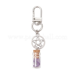 7 Chakra Natural Lapis Lazuli & Amazonite & Amethyst & Citrine & Green Aventurine & Rose Quartz & Red Aventurine Chips inside Glass Wishing Bottles Pendant Decorations&nbsp;HJEW-JM03152