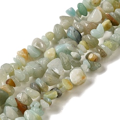 Natural Flower Amazonite Chips Beads Strands&nbsp;G-M205-12-01