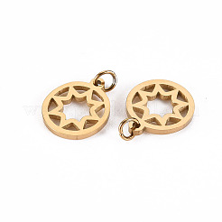 304 Stainless Steel Charms&nbsp;LS-STAS-S116-134G