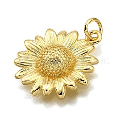 Rack Plating Brass Pendants&nbsp;KK-K401-56G