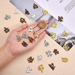 48Pcs Constellation Charm Pendant Twelve Zodiac Sign Pendants Alloy Charm for Jewelry Necklace Bracelet Earring Making Crafts&nbsp;JX340A