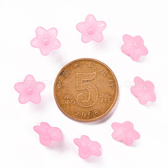 Transparent Acrylic Beads&nbsp;X-PL554-02