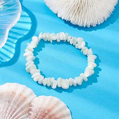 Natural Trochus Shell Chip Beaded Stretch Bracelets for Women Men&nbsp;BJEW-JB10549